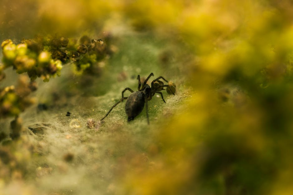 Did You Know? 10 Hidden Details in Pixar Movies