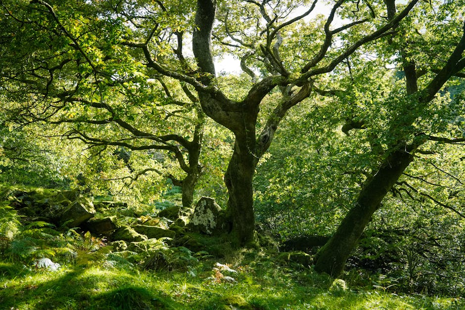 Top 10 Best Guitarists in the World