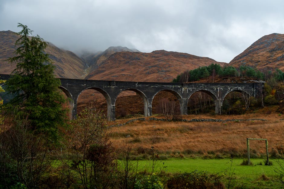 12 Fun Facts About Classic Westerns