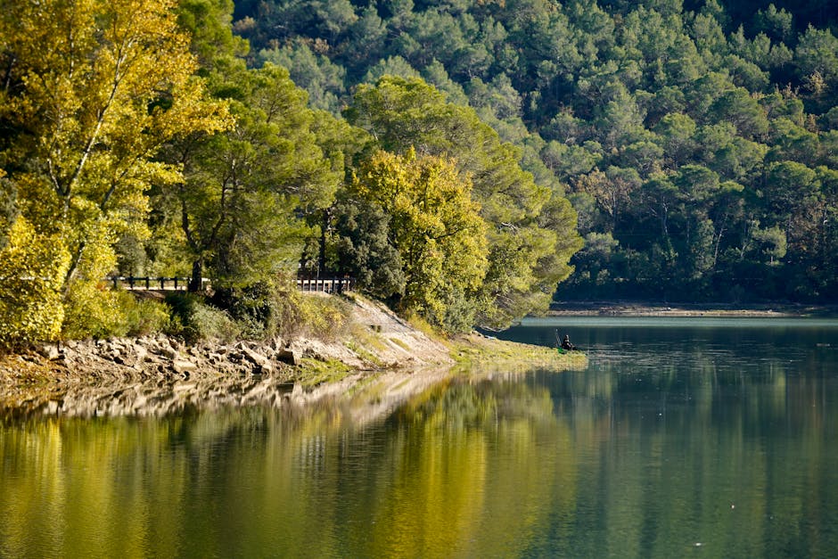 Top 10 Most Inspiring Movies You’ll Ever See