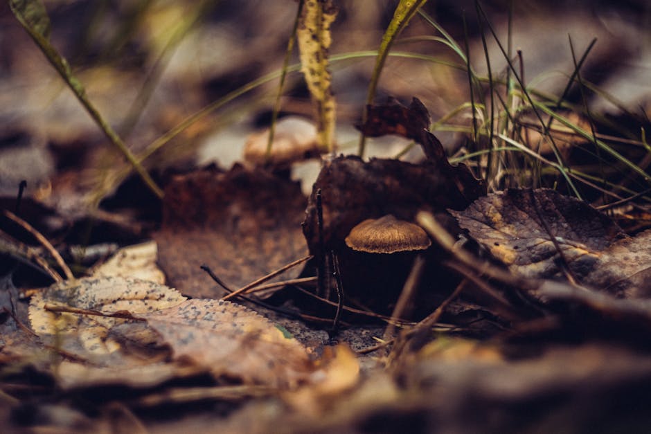 15 Hidden Facts About The Simpsons