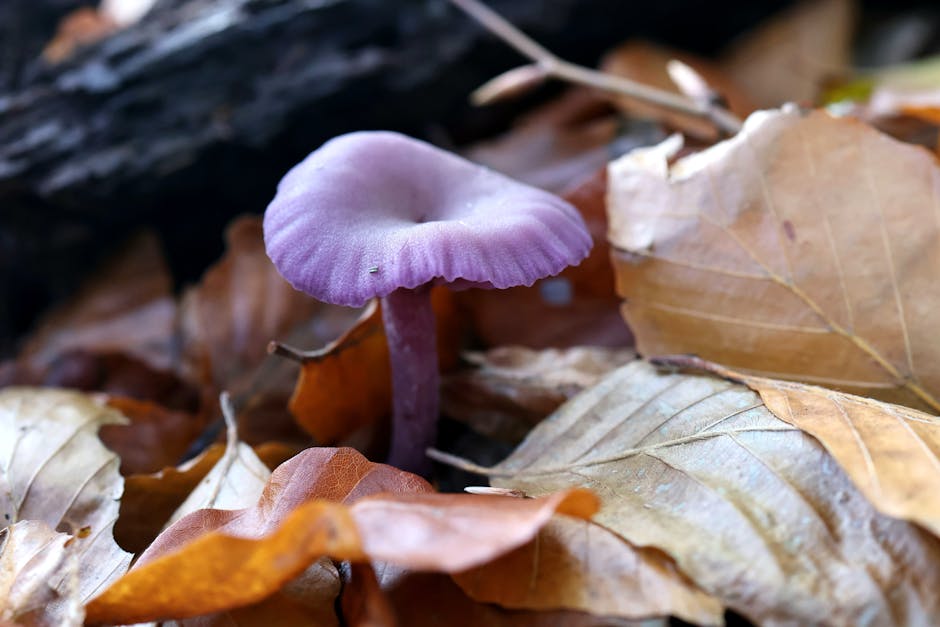 Did You Know? 12 Plants That Can Kill You Instantly