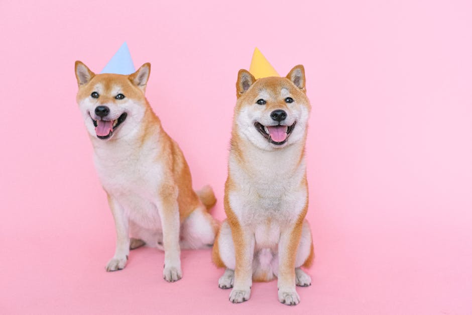 Did You Know? 10 Fun Facts About Celebrity Pets
