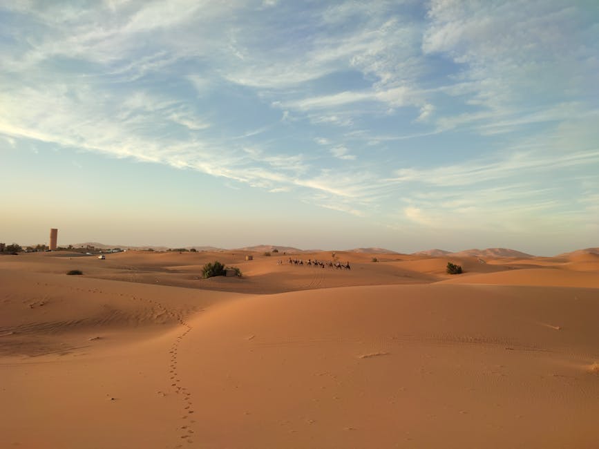 15 Surprising Facts About Deserts