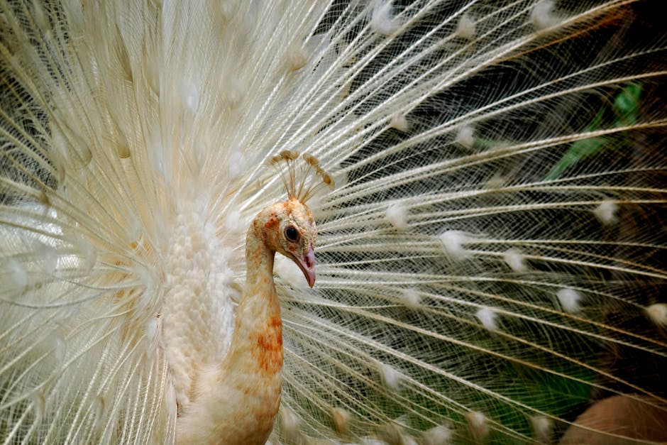 Top 10 Fascinating Facts About Dreams