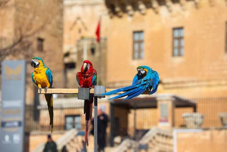 Did You Know? 10 Animals That Can Live Without Food for Months