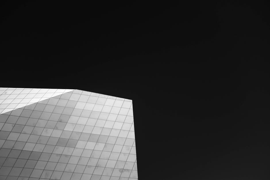 Did You Know? 12 Fun Facts About Minimalism