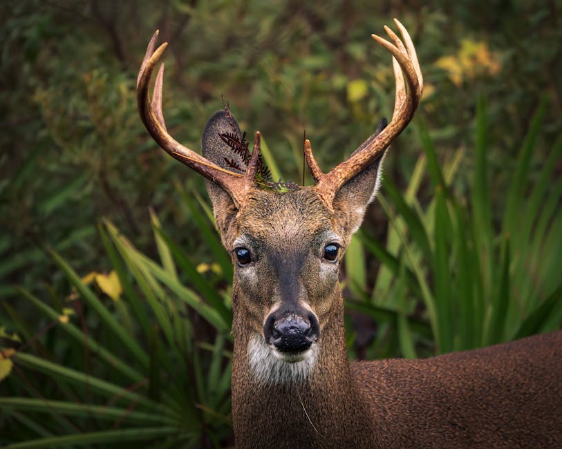 Did You Know? 12 Strange Natural Phenomena