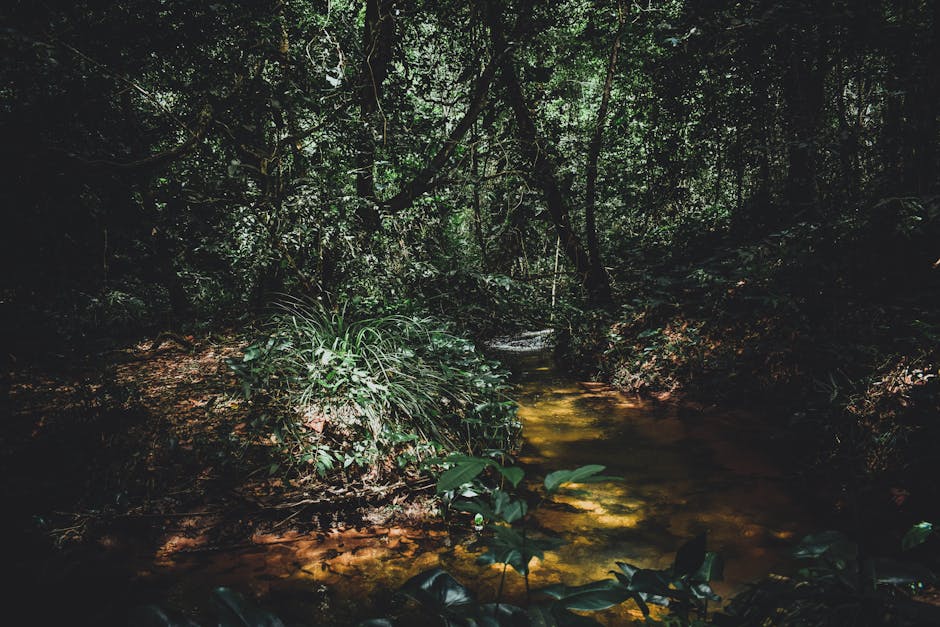 Did You Know? 15 Facts About the Amazon Rainforest