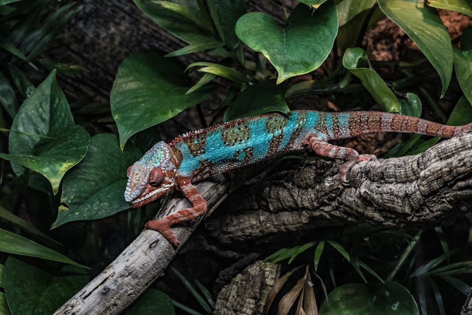 Did You Know? 10 Animals That Change Color