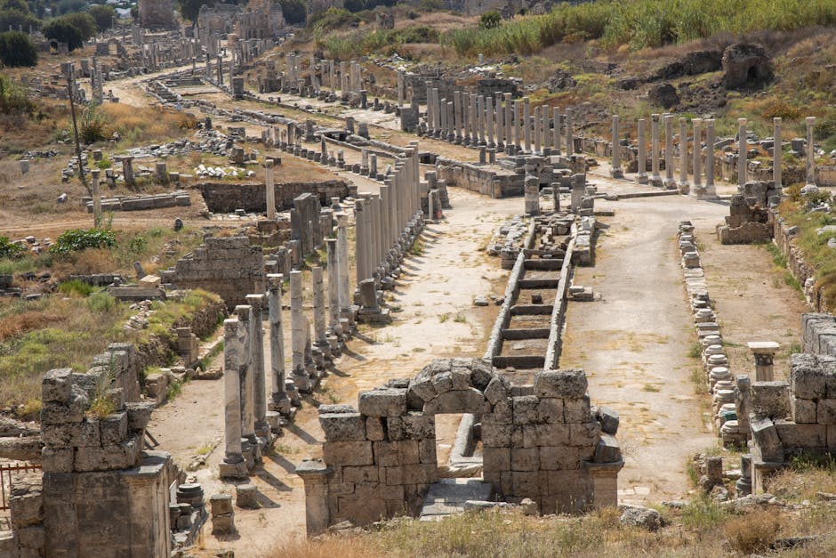 Did You Know? 15 Amazing Facts About the Silk Road