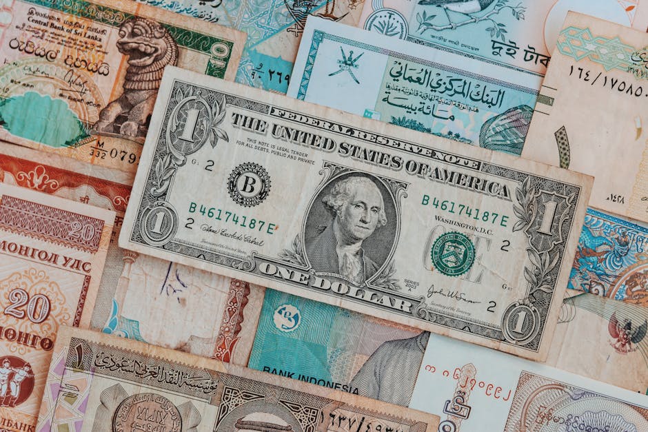 Did You Know? 12 Fun Facts About Global Currencies