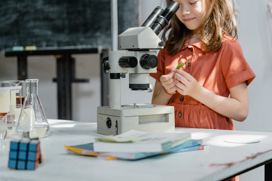 Did You Know? 10 Everyday Myths Debunked by Science