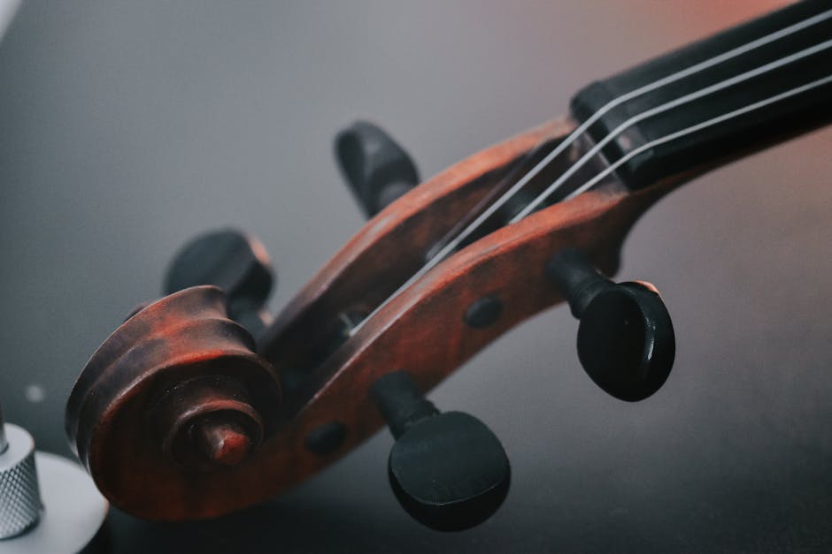 Did You Know Beethoven Went Completely Deaf?